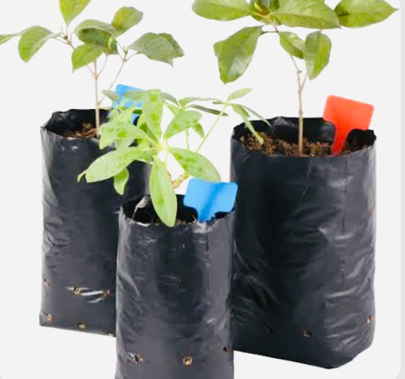 Sacs à plante